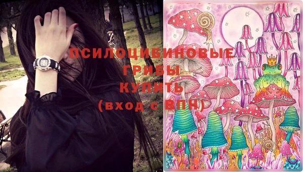 меф VHQ Гусев