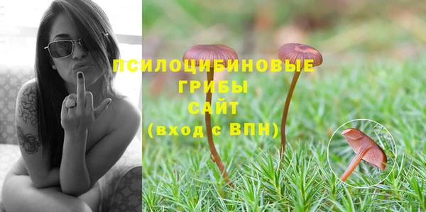 тгк Гусь-Хрустальный