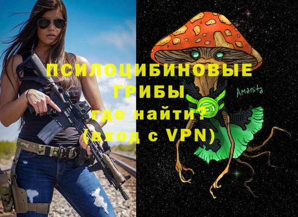 тгк Гусь-Хрустальный