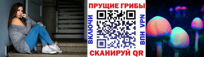 Галлюциногенные грибы Cubensis Торжок