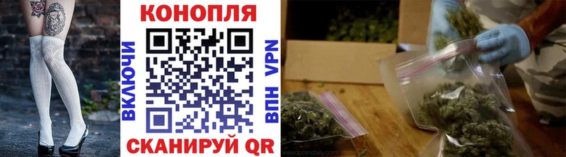 Купить Торжок Бошки марихуана Ganja